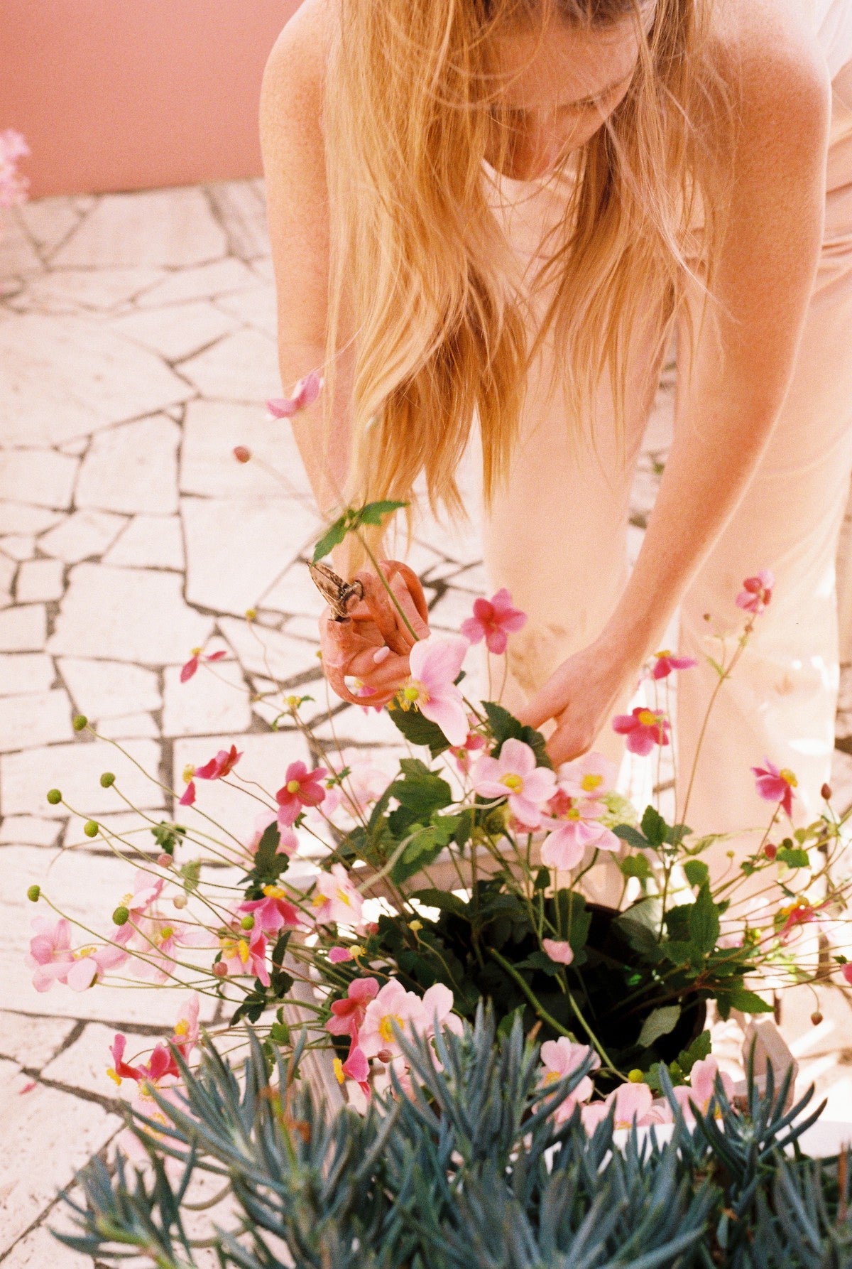 About – Wallflower Floral Design